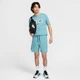 Футболка мужская Nike M Nsw Sw Air Graphic Tee L Комбинированный HM0185-464 - изображение 4