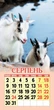 Наш календар на 2027 рік(вузький, перекидний, 16 стор.) (комплект 5 шт) - изображение 6