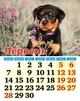 Наш календар. Пухнасті друзі на 2027 рік(перекидний, 16 стор.) - изображение 3