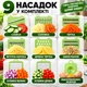 Овощерезка терка слайсер измельчитель для овощей фруктов сыра яиц чеснока ручная мандолина с регулируемым лезвием и контейнером мультислайсер фри резка кухонный слайсер с насадками 9 шт для фигурной нарезки ломтиками кубиками соломкой - изображение 2
