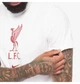 Футболка мужская Nike Liverpool 22/23 Crest Ss Tee White S Белый DM3482-100 - изображение 6