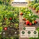Агротканина Agreen 100г/м² 1.6х50м 2 ряди готових лунок для посадки коричнева A101196 - изображение 4