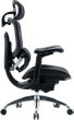 Fotel biurowy ergonomiczny Sihoo DORO C300 PRO V2 Czarny (4820216980141) - obraz 3