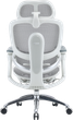 Fotel biurowy ergonomiczny Sihoo DORO C300 PRO V2 White (4820216980165) - obraz 2