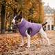 Курточка для собак WAUDOG Re-clothes двусторонняя, M47, A 44-47, B 69-72, C 41-44, сиреневый 191429 - изображение 2