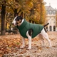 Курточка для собак WAUDOG Re-clothes двостороння, з переробленого поліестеру, S30, A 27-30, B 57-59, C 46-50, смарагдовий - изображение 2