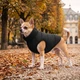 Курточка для собак WAUDOG Re-clothes двусторонняя, XS22, A 20-22, B 33-35, C 19-21, черный 19061 - изображение 2