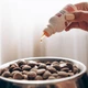 Лососева олія для собак та котів PRACTIK SUPERFOOD 100 мл - изображение 5