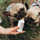 Печінковий соус для собак та котів PRACTIK SUPERFOOD 300 г - изображение 4