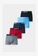 Трусы-боксерки мужские Jordan Poly 5 Pack S Комбинированный JM0867-H24 - изображение 1