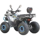 Квадроцикл SP125-8 (2026) - зображення 5