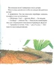 Мишеня Тім боїться іти до лікаря - Анна Казаліс (YB_796C3121C1F0) - зображення 9