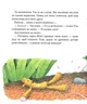 Мишеня Тім боїться іти до лікаря - Анна Казаліс (YB_796C3121C1F0) - зображення 10