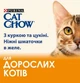 Вологий корм для котів Purina Cat Chow Adult шматочки в желе з куркою та цукіні (26х85г) - зображення 2