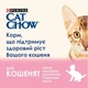 Вологий корм для кошенят Purina Cat Chow Kitten шматочки в желе з індичкою та цукіні (26х85г) - зображення 3