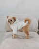 Худи для собаки молочное “Teddy” Feel with Fill, размер XS - изображение 3