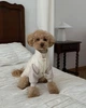 Жилет-пуфер для собаки “Puffy” айвори Feel with Fill, размер L - изображение 6