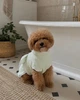 Халатик-попона для собаки фисташковый Feel with Fill, размер XL - изображение 2