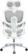 Fotel biurowy ergonomiczny Sihoo DORO C300 LITE V2 z podnożkiem White (4820216980134) - obraz 2