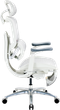 Fotel biurowy ergonomiczny Sihoo DORO C300 LITE V2 z podnożkiem White (4820216980134) - obraz 4