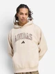 Худи утепленное мужское Adidas Seasonal Essentials Camo Hooded Sweat KF4184 L Бежевое (4069993187606) - изображение 1