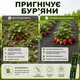 Агроволокно чорне Agreen 50г/м² (1,07х100) з перфорацією 2 отв 018843 - зображення 10