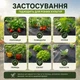 Агроволокно Agreen черное 50 с перфорацией в 3 ряда 1,07х50 м. - 018844 018844 - изображение 11