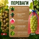 Сетка-мешок, защитная сетка для винограда 22х35 красная 50 шт 017049 - изображение 8