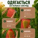 Сетка-мешок, защитная сетка для винограда 22х35 красная 50 шт 017049 - изображение 9