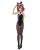 Коллекционная аниме-фигурка Furyu BiCute Bunnies Hideyoshi Kinoshita / Хидейоши Киношита, 28 см - изображение 3