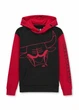 Худі з бавовни Hollister 322f2503 XL червоне (100016151) - зображення 1