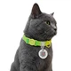 Ошейник для кошек нейлоновый WAUCAT Nylon Recycled с QR адресником, градиент, безопасная пряжка, XS, Ш 10 мм, Длин 20-30 см, салатовый - изображение 2