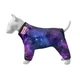 Вітровка для собак WAUDOG Clothes, малюнок «NASA21», S35, В 47-51 см, С 35-39 см - зображення 1
