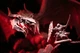 Настільна гра Portal Games Primal: Пробудження (польське видання) (5905794221387) - зображення 2
