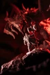 Настільна гра Portal Games Primal: Пробудження (польське видання) (5905794221387) - зображення 8