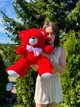 М'яка іграшка BigMishki плюшевий ведмедик Томмі 65 червоний - зображення 8