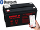 Акумуляторна батарея Energy24 LiFePO4 Літій-залізо-фосфатний 12.8V 100Ah 1280Wh BMS Bluetooth - зображення 2