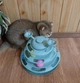 Игрушка трек спинер для самостоятельной игры кота котенка 25*18см - изображение 2