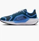 Кросівки для бігу жіночі Nike Pegasus 41 Gtx 37.5 Комбінований FQ1357-400 - зображення 1