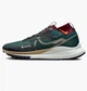 Кроссовки для бега мужские Nike Pegasus Trail 4 Gore-Tex 42.5 Комбинированный HM9728-300 - изображение 1