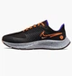 Кросівки для бігу чоловічі Nike Air Zoom Pegasus 38 Shield 41 Комбінований DC4073-003 - зображення 1