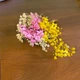 Квіти гіпсофіла стабілізовані різнобарвні - зображення 1