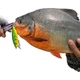 Guowangliya Lure Micro-Fly Scale Series, Minnow Sinking Slowking Floating Lure, Long Distance Casting for Topmouth Culter And Bass, Black Pit - зображення 3