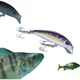 Guowangluya Rice Noodle Sinking Micro Lure Artificial Bait for Freshwater Bass, Bionic Imitation Bait, 3.6g/LZ01 Color - изображение 2