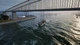 Ключ активации Seafarer: The Ship Sim для Xbox Series S/X - изображение 3