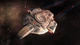 Ключ активации Star Trek Online - Captain's Edition для Xbox One/Series S/X - изображение 7