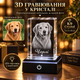 Персонализированный 3D LED-ночник/светильник «Ваш питомец» с фото и именем, K9-кристалл 5×5×8 см - изображение 1