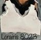 Мереживний топ-бюстгальтер 8023 Lora Iris молочний XL - зображення 4