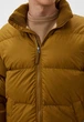 Мужская пуховая куртка The North Face Down Paralta Puffer Горчичный M Код: NF0A85281OB Moss Green - изображение 5