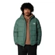 Чоловіча пухова куртка The North Face Hydrenalite Down Jacket Зелений S Код: NF0A5GIECH Duck Green - зображення 1